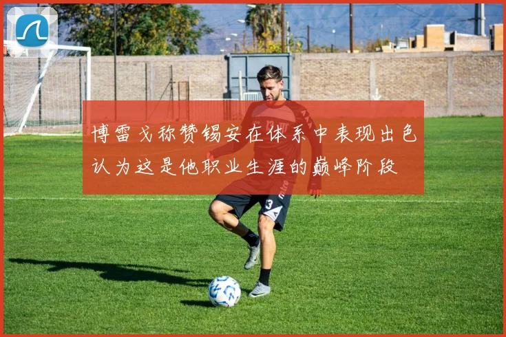 博雷戈称赞锡安在体系中表现出色认为这是他职业生涯的巅峰阶段