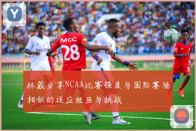 林葳分享NCAA比赛强度与国际赛场相似的适应经历与挑战