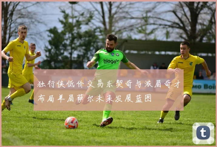 独行侠低价交易东契奇与浓眉奇才布局羊眉萨尔未来发展蓝图