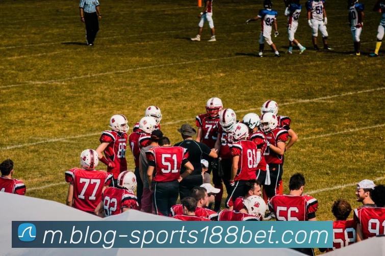 188bet体育APP 封面图